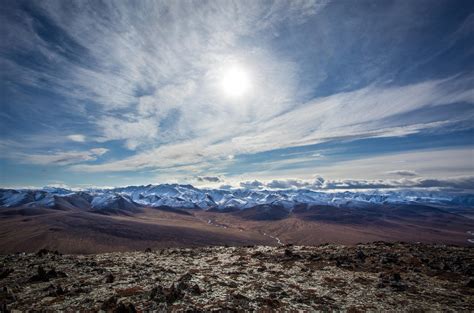 Arctic National Wildlife Refuge | Audubon Alaska