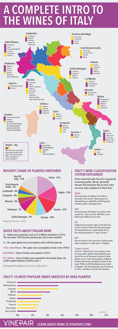 A Complete Introduction To The Wines Of Italy: MAP & INFOGRAPHIC | VinePair