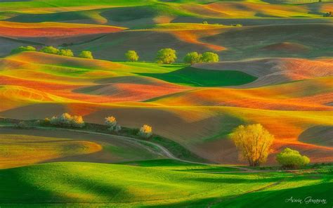 The Spirit of Spring, Palouse, Washington - Photo by Aswin Gunawan ...