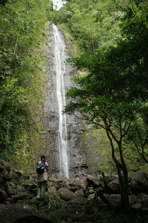 Manoa Falls - Popular Honolulu Waterfall in a Bamboo Jungle