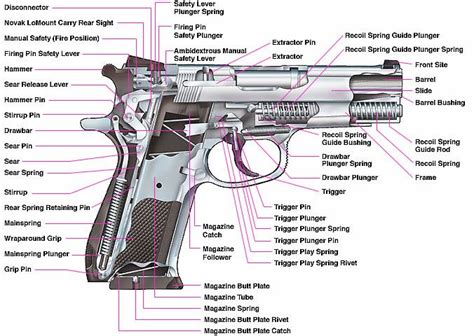 Dawn the Apocalypse: Firearms Principles – Guns a tootin!