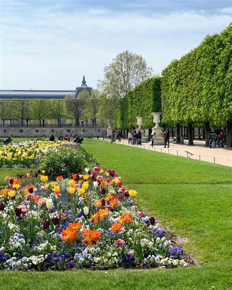 A Walk Through the Tuileries Garden in the Spring - Landen Kerr