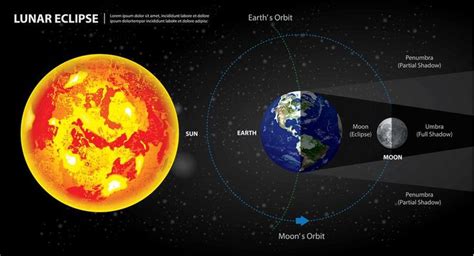 Eclipses lunares sol terra e ilustração vetorial de lua | Ilustração ...