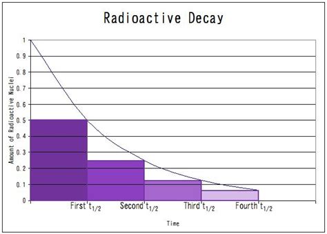 graphing functions - Radioactive decay - Mathematics Stack Exchange