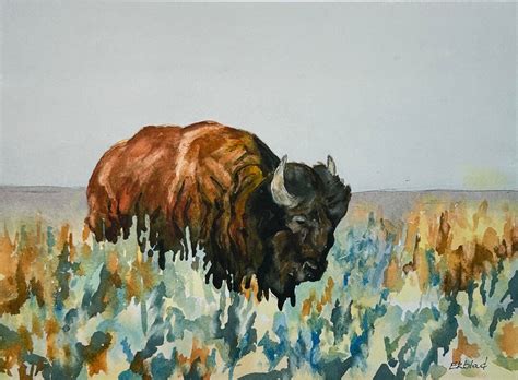 American Bison - Etsy