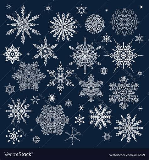 Winter pattern with various falling snowflakes Vector Image