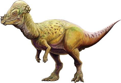 Pachycephalosaurus | Prehistoric Wiki | Fandom