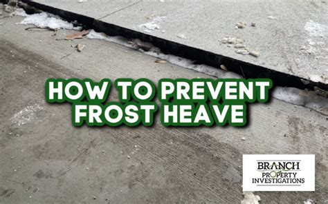 How to Prevent Frost Heave - Branch Property Investigations