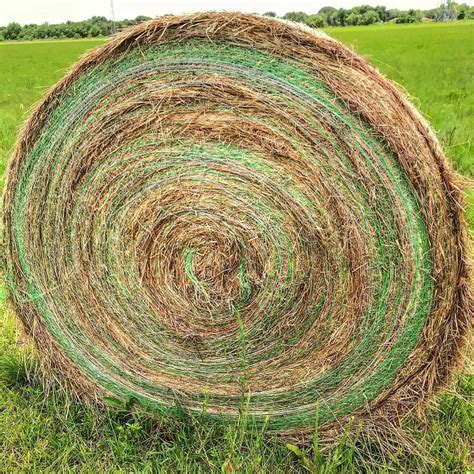 This is a $356 round bale. #hay #round #bale #netwrap #problems # ...