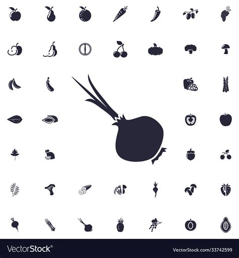 Onion icon Royalty Free Vector Image - VectorStock