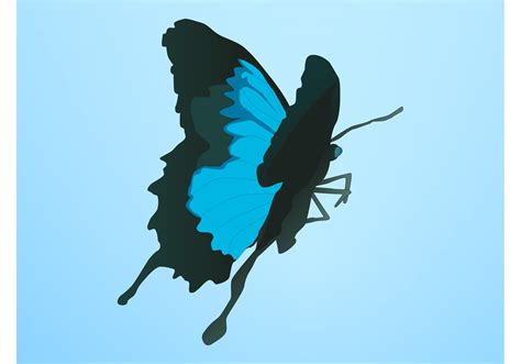 Blue Butterfly Vector - Download Free Vector Art, Stock Graphics & Images