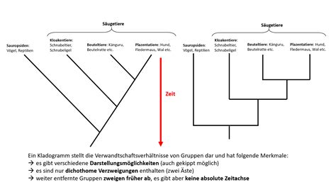 6. Evolution - Biologie-Unterricht im digitalen Zeitalter