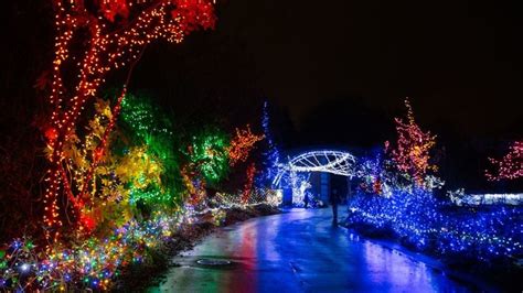 Find festive features (and creatures!) at Woodland Park Zoo's WildLights | Seattle Refined