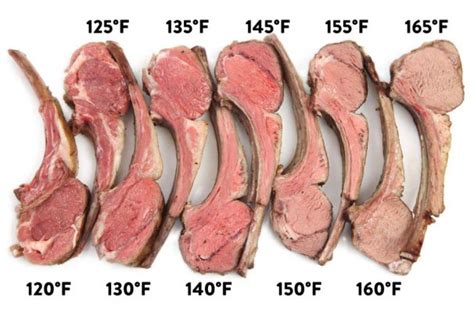 Meat Temperature Chart, Meat Cooking Temperatures | ThermoPro