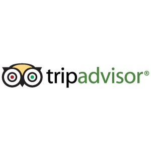 TripAdvisor logo vector in (EPS, AI, CDR) free download