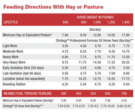 Finding a Nutrition Plan That Works for Your Horse - Jumper Nation