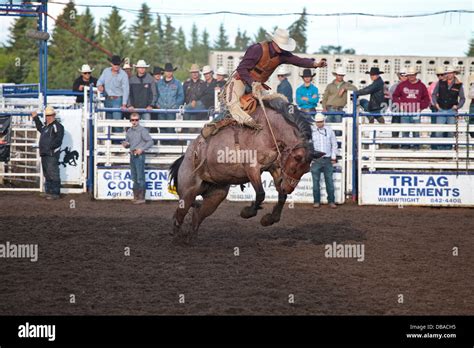 Wainwright Alberta High Resolution Stock Photography and Images - Alamy