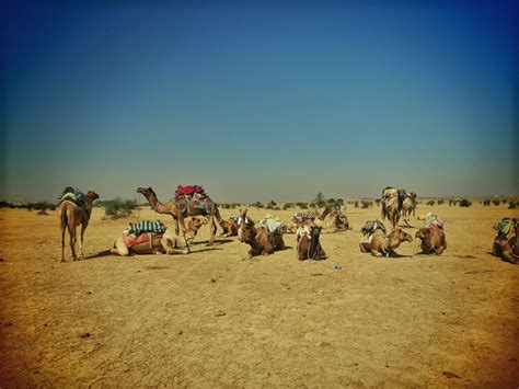 Jaisalmer desert safari | Unusual Traveler