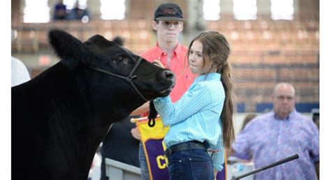 State Fair Livestock Entry Deadline Extended - Morning Ag Clips