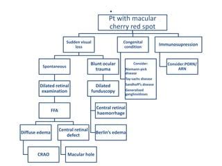 Macular cherry red spot | PPT