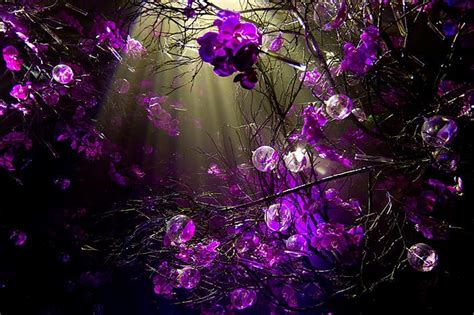 Cool Purple Background - WallpaperSafari