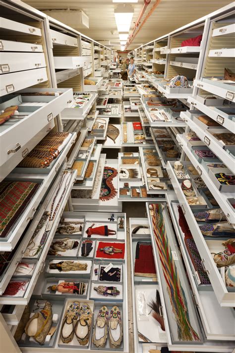 Inside the Secret Collections Backstage at the US Museum of Natural History