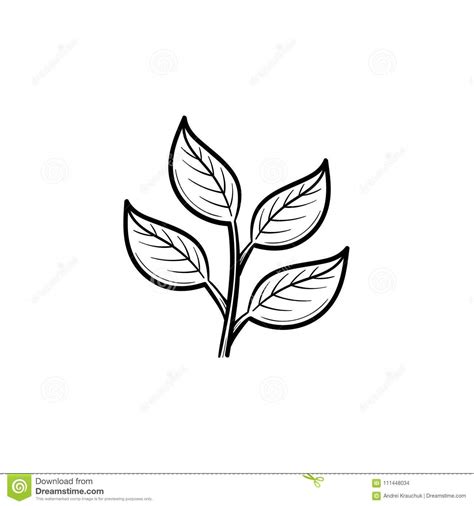 Branch with Leaves Hand Drawn Sketch Icon. Stock Vector - Illustration of earth, branch: 111448034