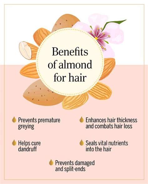 The Health Benefits Of Almonds For Hair Care | Femina.in