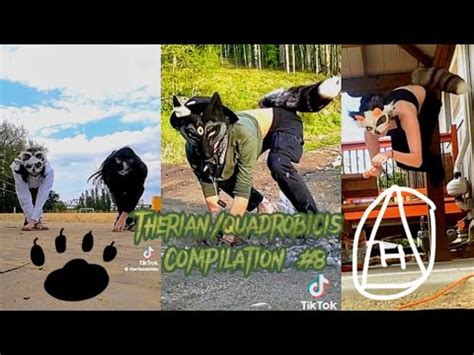 Therian/quadrobics compilation #8 - YouTube