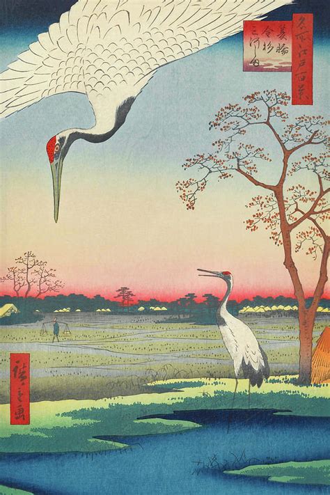 Red-crowned crane Vintage Ukiyo-e Japanese Art Drawing by Utagawa Hiroshige - Fine Art America