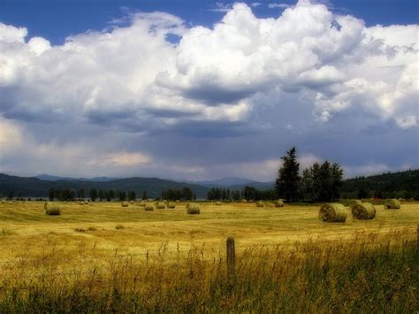 Free photo: Hayfield, Thunderstorm, Clouds, Sky - Free Image on Pixabay - 51174