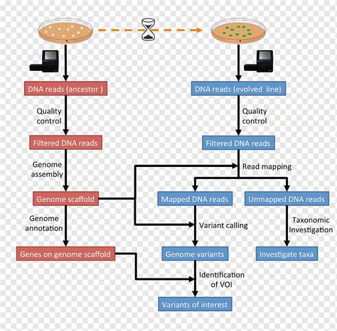 Computational genomics Computational biology Research Bioinformatics ...