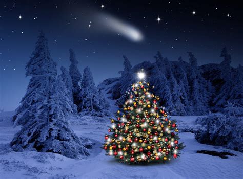 Christmas Tree Snow Wallpapers - Top Free Christmas Tree Snow ...