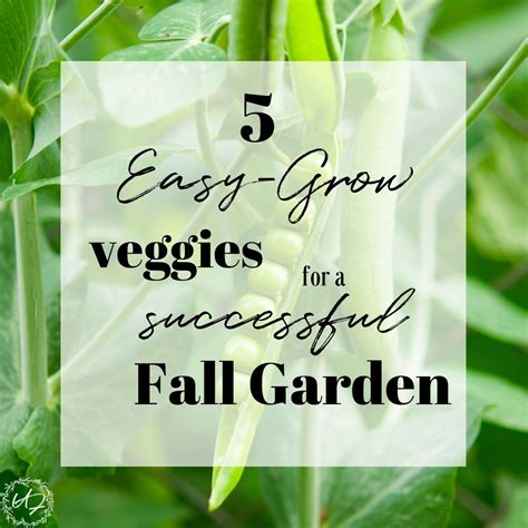 Fall Vegetables To Plant For A Simple & Successful Garden