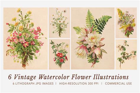 Vintage Watercolor Flower Lithograph Illustrations - SteinMixedMedia