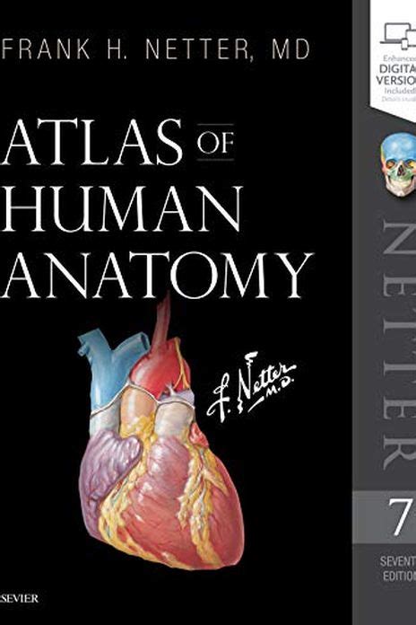 26 Best Anatomy Books