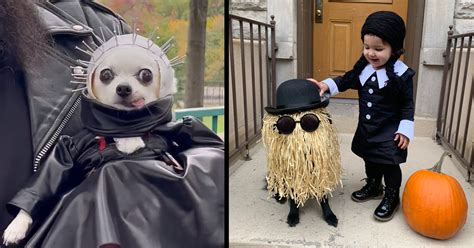 All the Best Costumes From the Tompkins Square Halloween Dog Parade - Memebase - Funny Memes