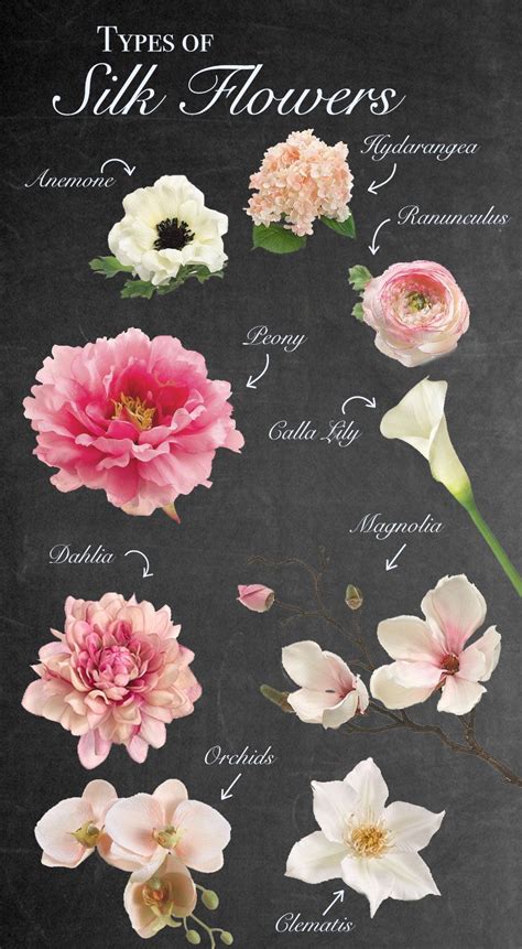 Flower Names And Pictures A Z – Idalias Salon