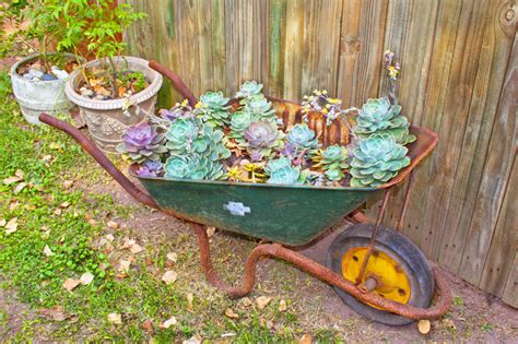 33 Wheelbarrow Planter Ideas for Your Garden - Garden Lovers Club