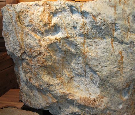 Stegosaurus dinosaur footprints in sandstone (Morrison For… | Flickr