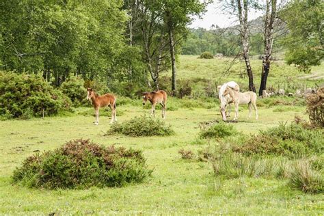 √ Natural Parks Portugal