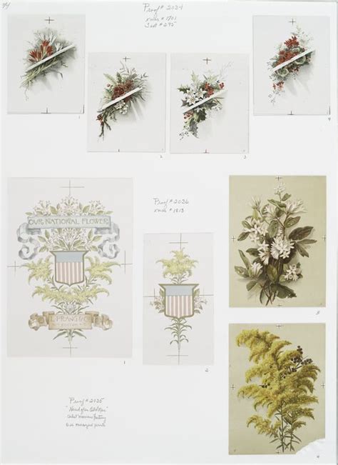 Our National Flowers. [Depictions of flowers with coat of arms.] - NYPL ...