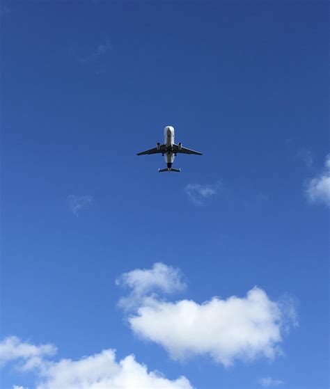 A Beluga landing in Toulouse, some weeks ago : r/aviation