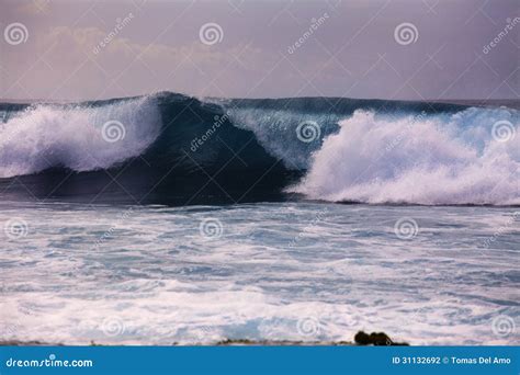 Big surf on hawaii s shore stock photo. Image of surf - 31132692