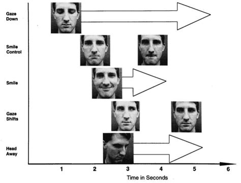 Facial Expressions Chart Psychology