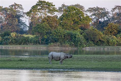 Kaziranga National Park, India - WorldAtlas