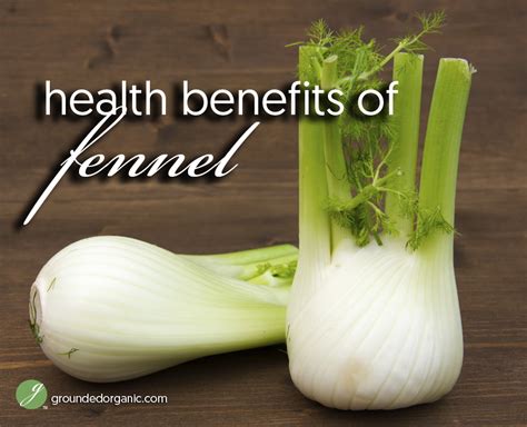 Health Benefits of Fennel - Grounded Organic