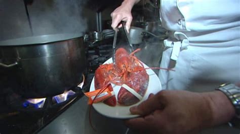 Do lobsters feel pain when we boil them alive? | CBC Radio