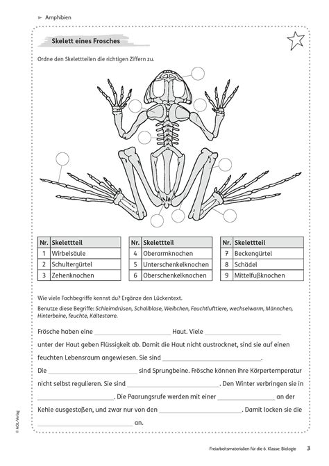 Sekundarstufe Unterrichtsmaterial Biologie Zoologie und Tiere Amphibien, Freiarbeit ...