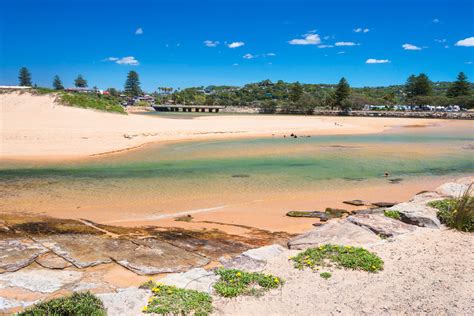 Narrabeen Lagoon SYD3237 – Gusha